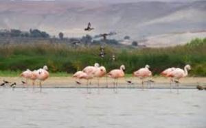 Santuario Nacional Lagunas de Mejía